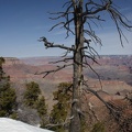 Grand Canyon Trip 2010 492